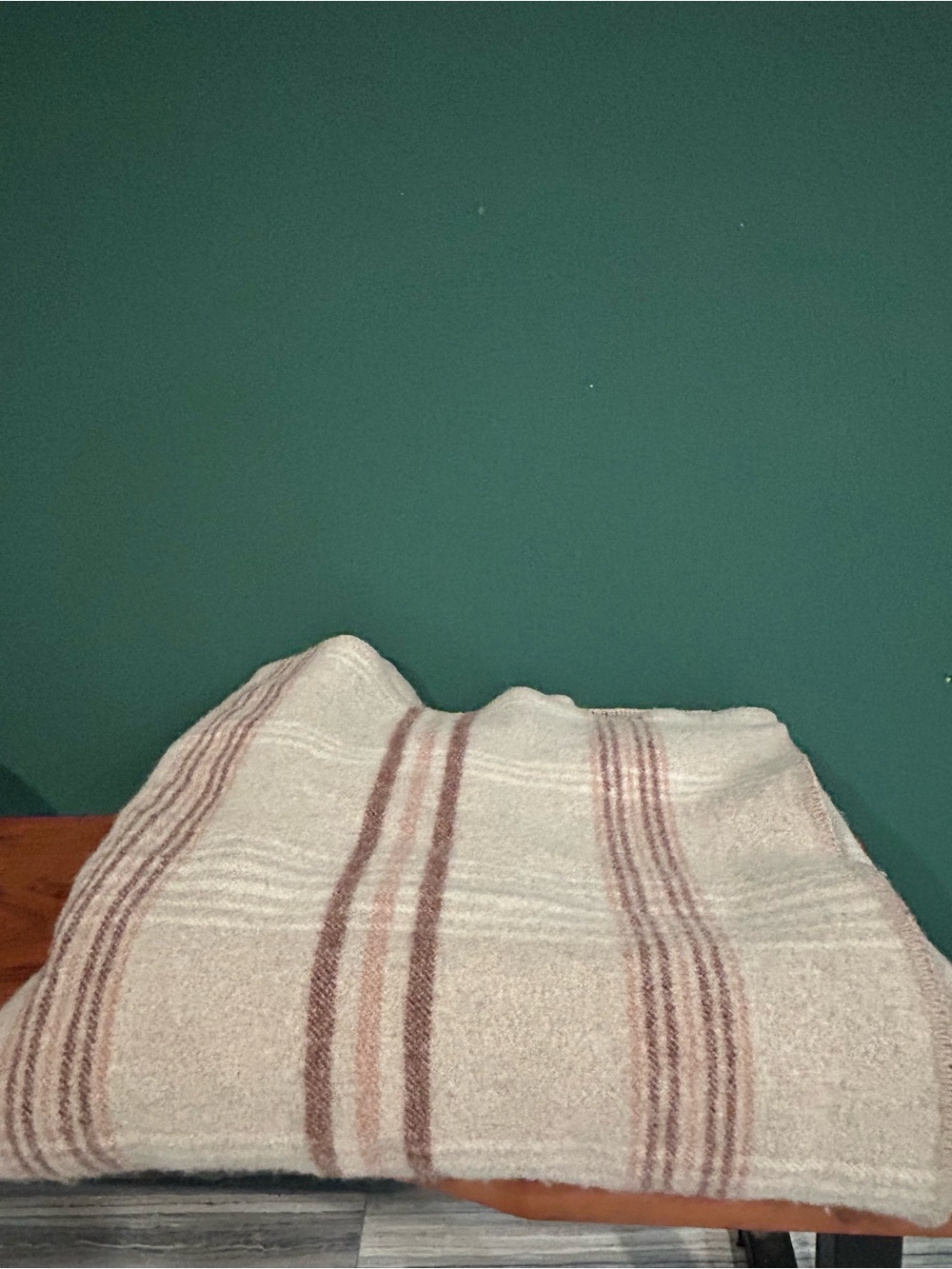 Pendleton Cream Blanket with Brown Stripe Accents 100% Wool